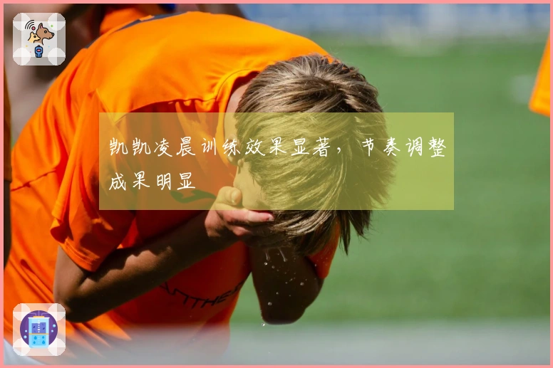 凯凯凌晨训练效果显著，节奏调整成果明显