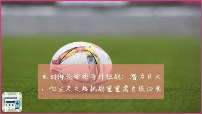 毛剑卿论徐彬海外征战：潜力巨大，但立足之路挑战重重需自我证明