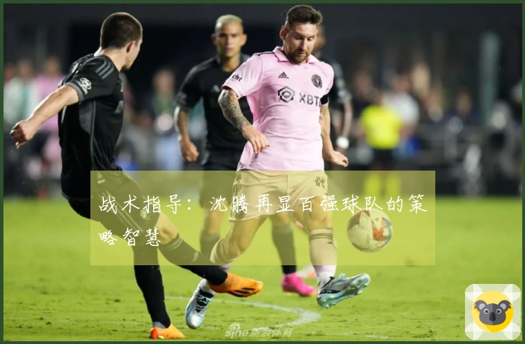 战术指导：沈腾再显百强球队的策略智慧