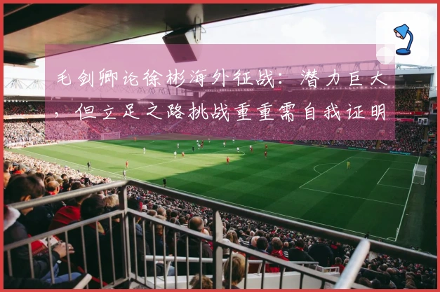 毛剑卿论徐彬海外征战：潜力巨大，但立足之路挑战重重需自我证明