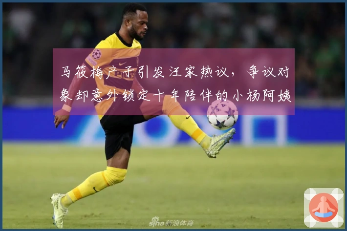 马筱梅产子引发汪家热议，争议对象却意外锁定十年陪伴的小杨阿姨